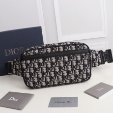 Christian Dior Waist Chest Packs